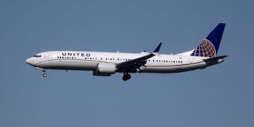 United Airlines Diverts Flight After Dog Poops In Aisle